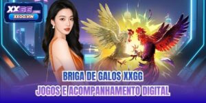 Briga de galos