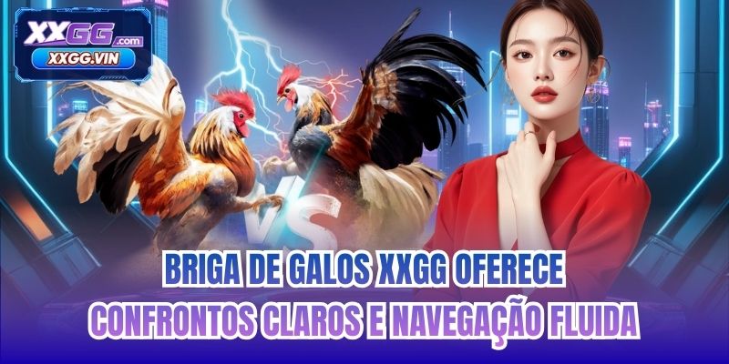 Briga de Galos XXGG oferece confrontos claros e navegação fluida